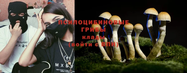 ешки Липки