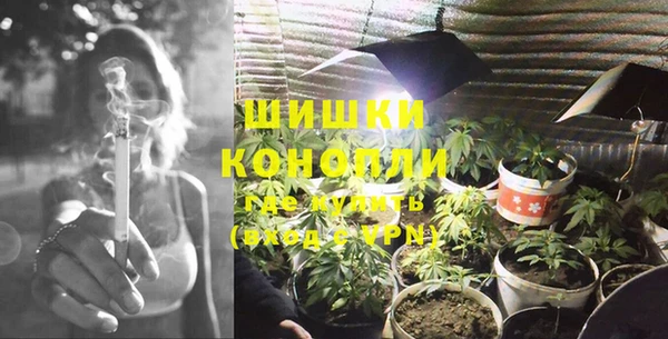 соль ск Лиски
