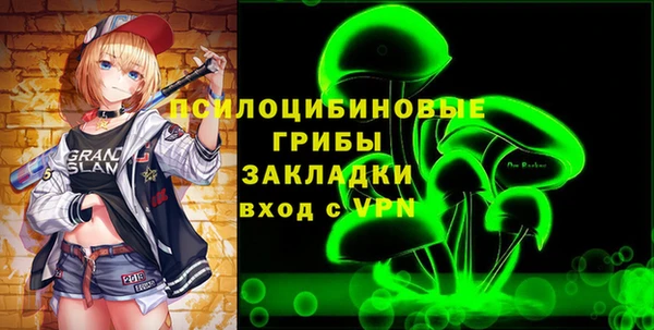 соль ск Лиски