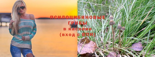 соль ск Лиски